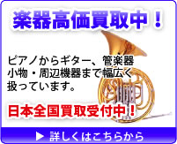 �y�퍂�����撆�I